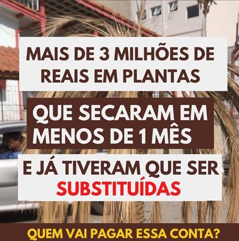 Rnews - &Quot;Na Minha Terra Tem Palmeiras...&Quot;, Pelo Menos Tinha Um Mês Atrás!
