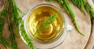 Conheça Os 7 Principais Benefícios Do Chá De Cavalinha Chá De Cavalinha