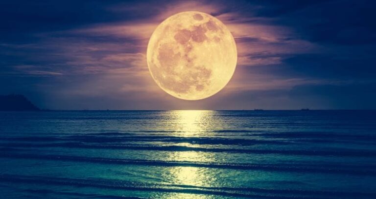 Rnews - A Cara Da Lua