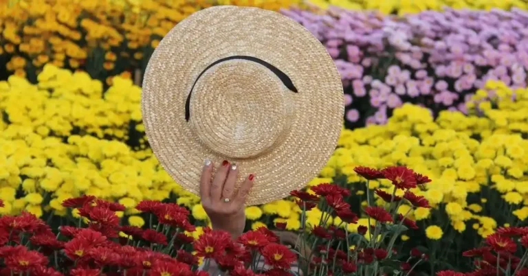 Rnews - Essa Cidade Encanta Com Seus Campos De Flores: Conheça Holambra
