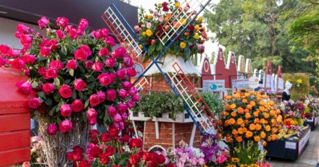 Rnews - Essa Cidade Encanta Com Seus Campos De Flores: Conheça Holambra
