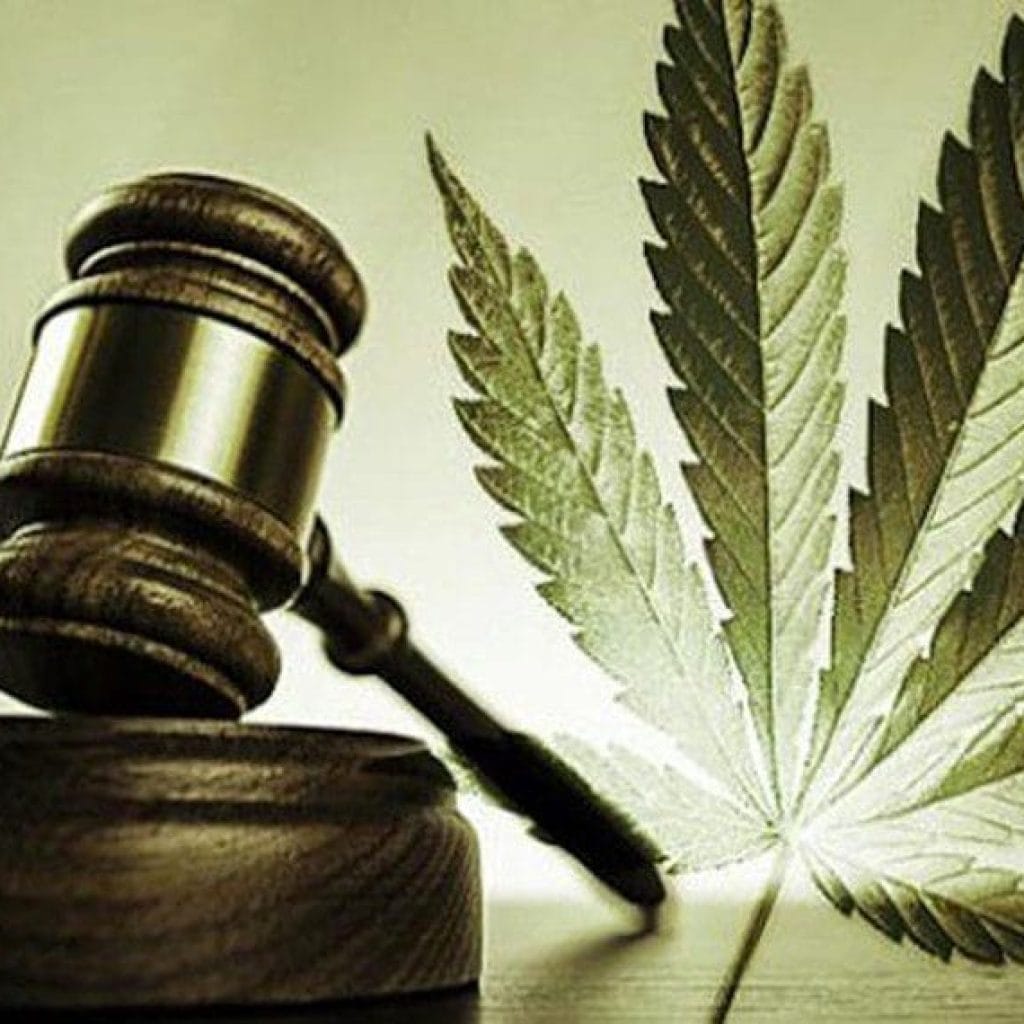 Rnews - Descriminalização Do Porte De Maconha Está Valendo