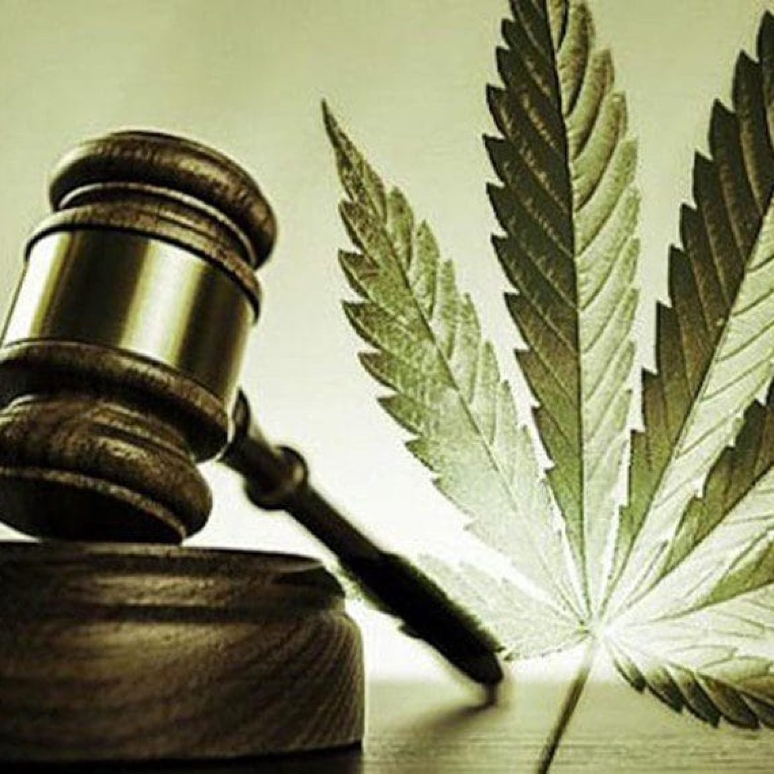 Rnews - Descriminalização Do Porte De Maconha Está Valendo