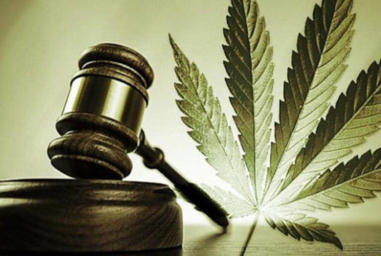 Rnews - Descriminalização Do Porte De Maconha Está Valendo