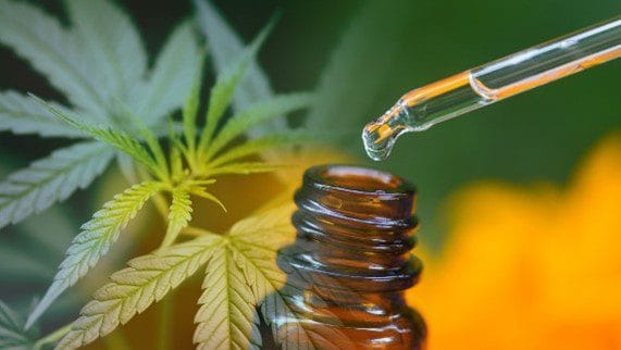 Rnews - Cultivo De Cannabis Para Fins Medicinais É Autorizado Pelo St