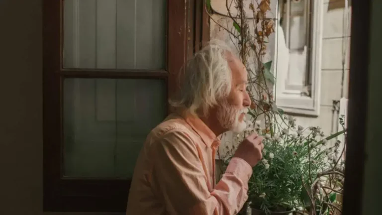 Rnews - Hefc: Apreciar O Que Se Tem