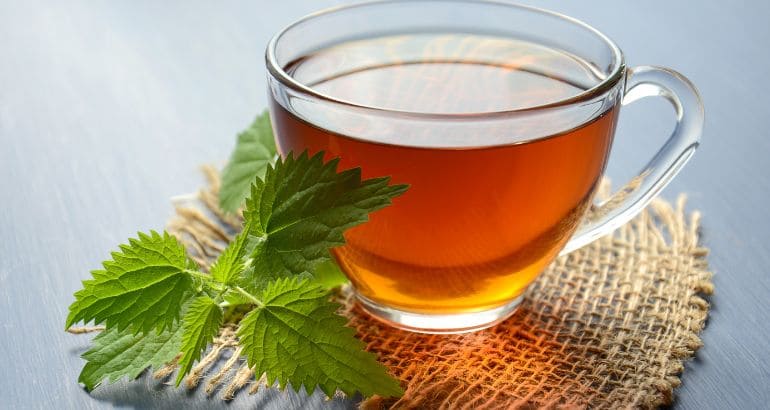Dia Mundial Do Chá: Especialistas Recomendam Trocar O Café Pelo Chá 1 Rnews - Dia Mundial Do Chá: Especialistas Recomendam Trocar O Café Pelo Chá