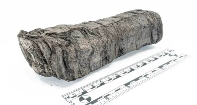Pergaminho Milenar Carbonizado Foi Identificado: Um Marco Na Arqueologia Com Raio-X E Ia
