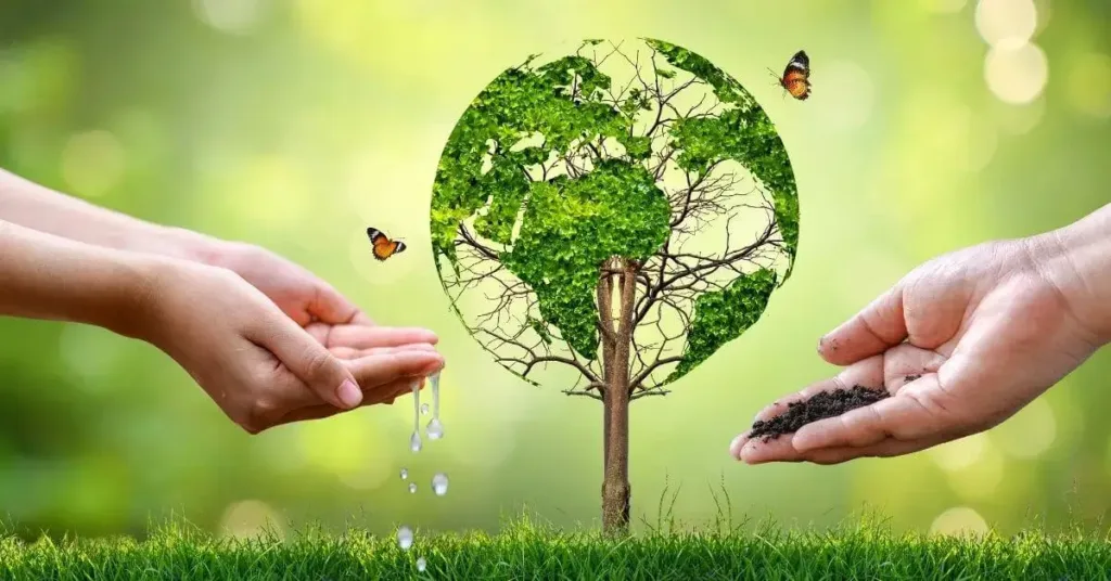 5 De Junho: Dia Do Meio Ambiente 2 5 De Junho: Dia Do Meio Ambiente