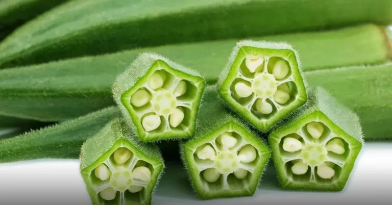 Tecnologia Com Quiabo Purifica Água