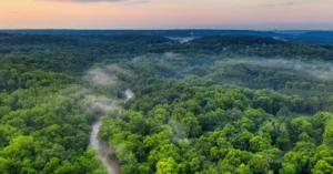 Nova Raposo: Um Projeto Polêmico Ameaçando O Meio Ambiente E A População Nova Raposo: Um Projeto Polêmico