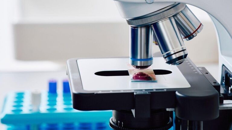 Exames Laboratoriais