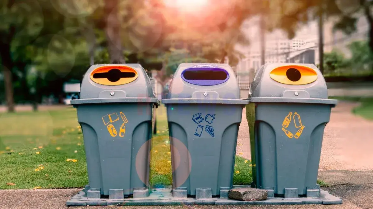 Diferença Entre Lixo Orgânico, Reciclável E Rejeito