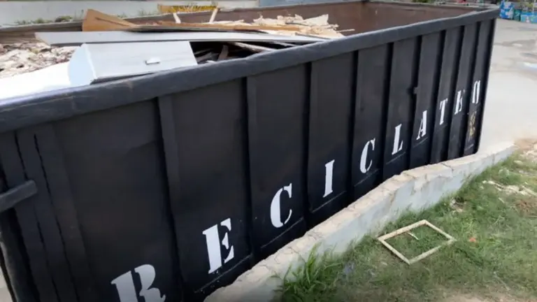 Mogi Das Cruzes: Ecoponto Do Parque Olímpico Retoma Coleta De Madeira E Reforça Compromisso Ambiental