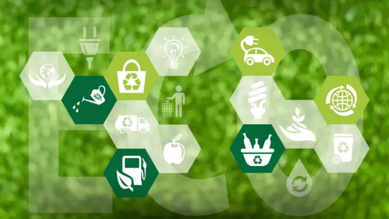 Projeto Ecoari Transforma Reciclagem Em Prêmios E Coloca Caieiras Na Rota Da Sustentabilidade