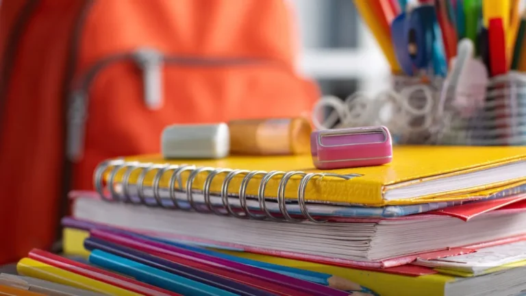 Levantamentos De Procons Em Várias Regiões Mostram Diferenças Expressivas Nos Preços Dos Principais Itens Escolares Em 2026, Reforçando A Importância De Comparar Antes De Comprar