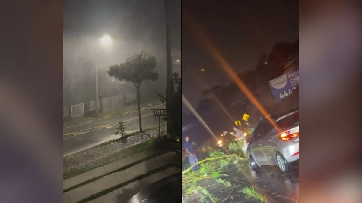 Chuva forte com vento atinge Franco da Rocha e Caieiras à noite, com rua alagada e árvore caída sobre via durante alerta da Defesa Civil.