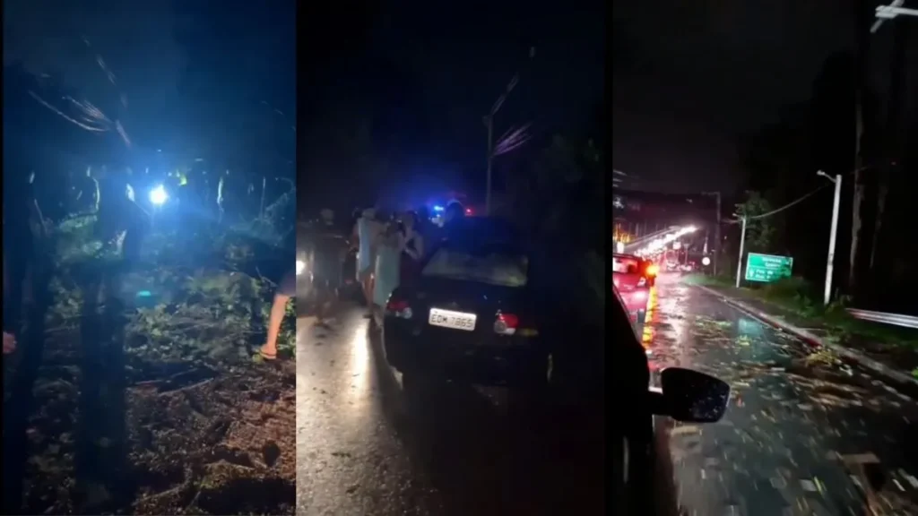 Queda De Árvores E Vias Bloqueadas Durante Chuva Intensa Que Provocou Apagão Em Caieiras Na Noite De 13 De Fevereiro De 2026