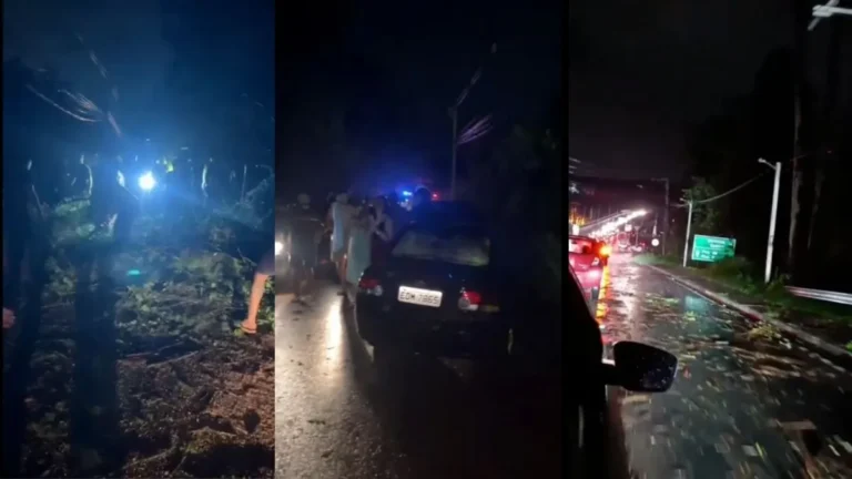 Queda De Árvores E Vias Bloqueadas Durante Chuva Intensa Que Provocou Apagão Em Caieiras Na Noite De 13 De Fevereiro De 2026