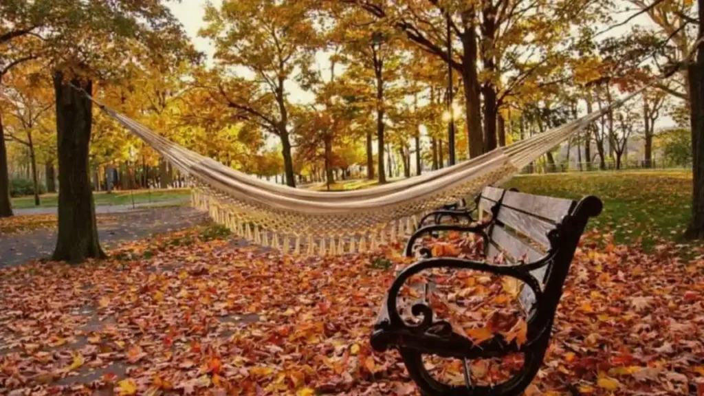 Parque No Outono Com Banco Coberto Por Folhas Secas E Rede De Descanso Presa Entre Árvores Ao Fundo, Sob Luz Dourada