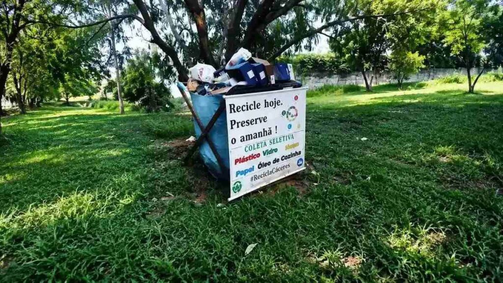 Caieiras No 'Dia Do Meio Ambiente': Por Que O Lixo Da Cidade Precisa Ser Levado A Sério 1 Ponto De Coleta Seletiva Em Área Verde, Com Materiais Recicláveis Acumulados Em Recipiente Identificado Para Descarte Correto.