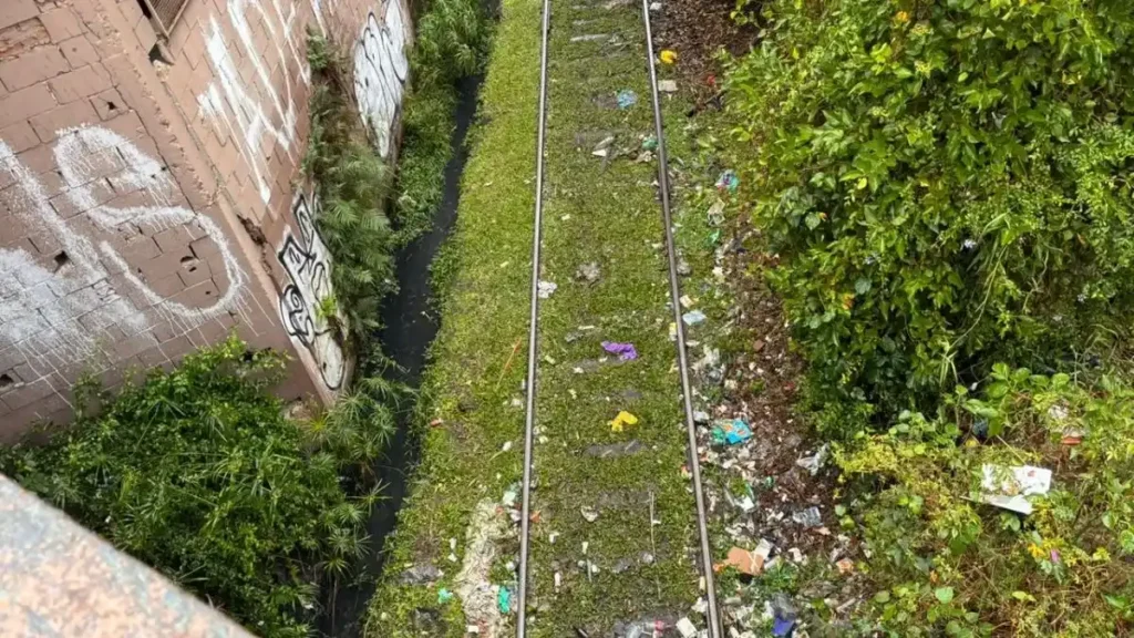 Trilhos Sujos, Ferrugem E Ratos Expõem Descuido Em Estações De São Paulo 1 Trilhos De Trem Vistos De Cima Com Lixo Acumulado Nas Laterais, Vegetação Alta E Muro Pichado Ao Lado Da Linha Férrea.